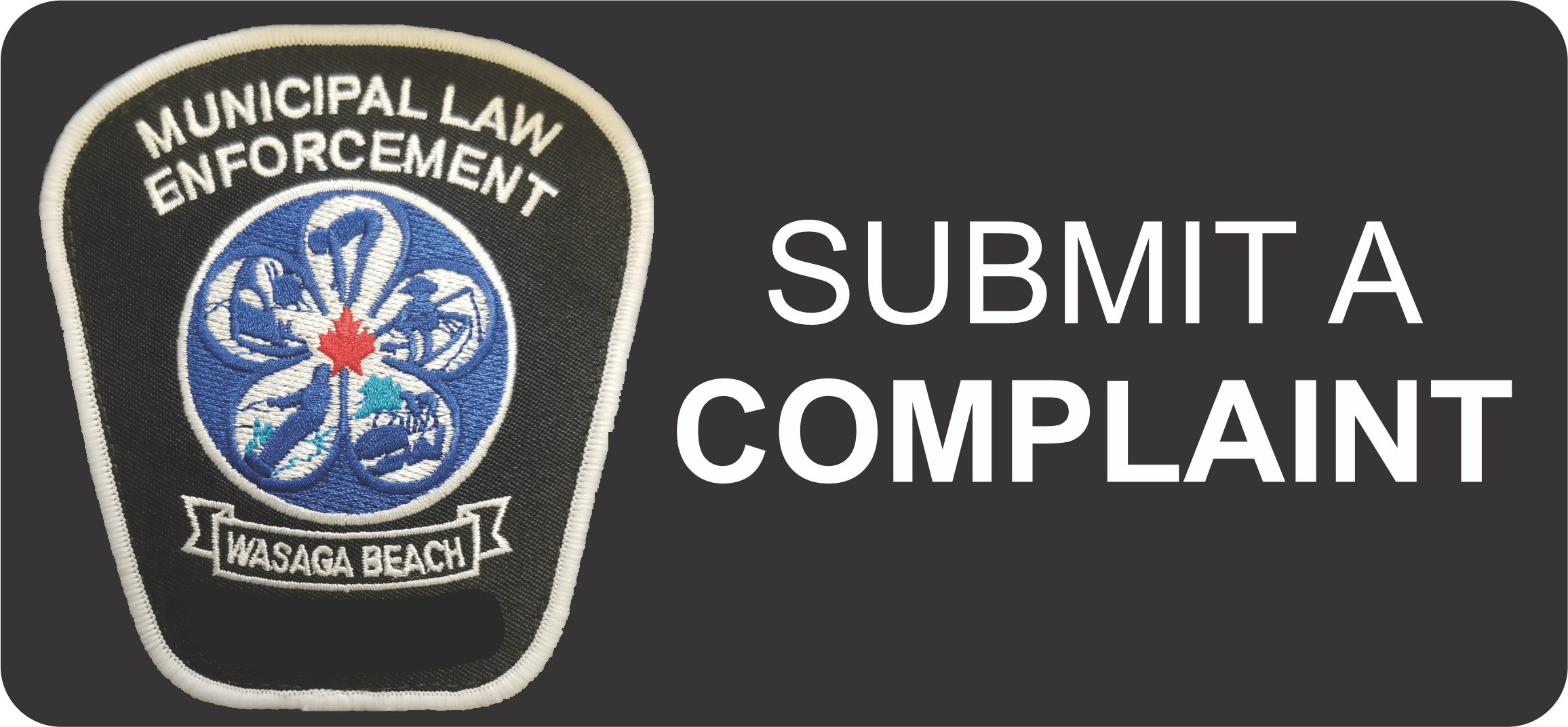 Submit a By-law Complaint Here