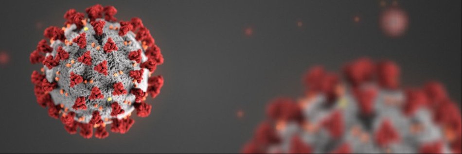 Covid-19 Updates Banner Image