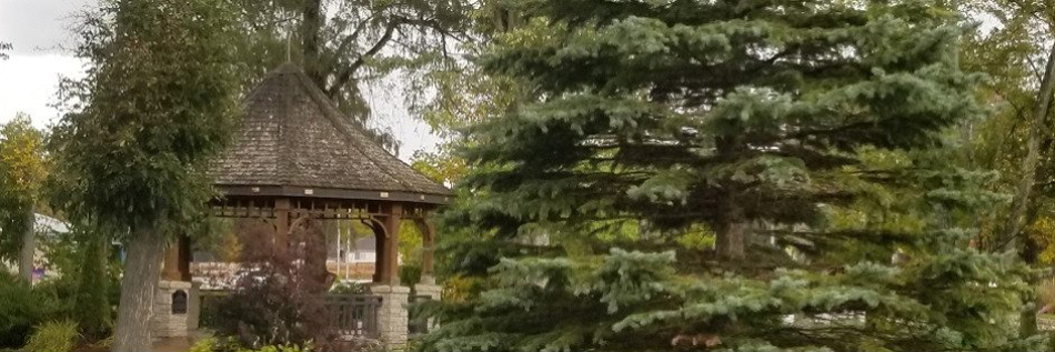 Gazebo and Pavilion Page Banner Image