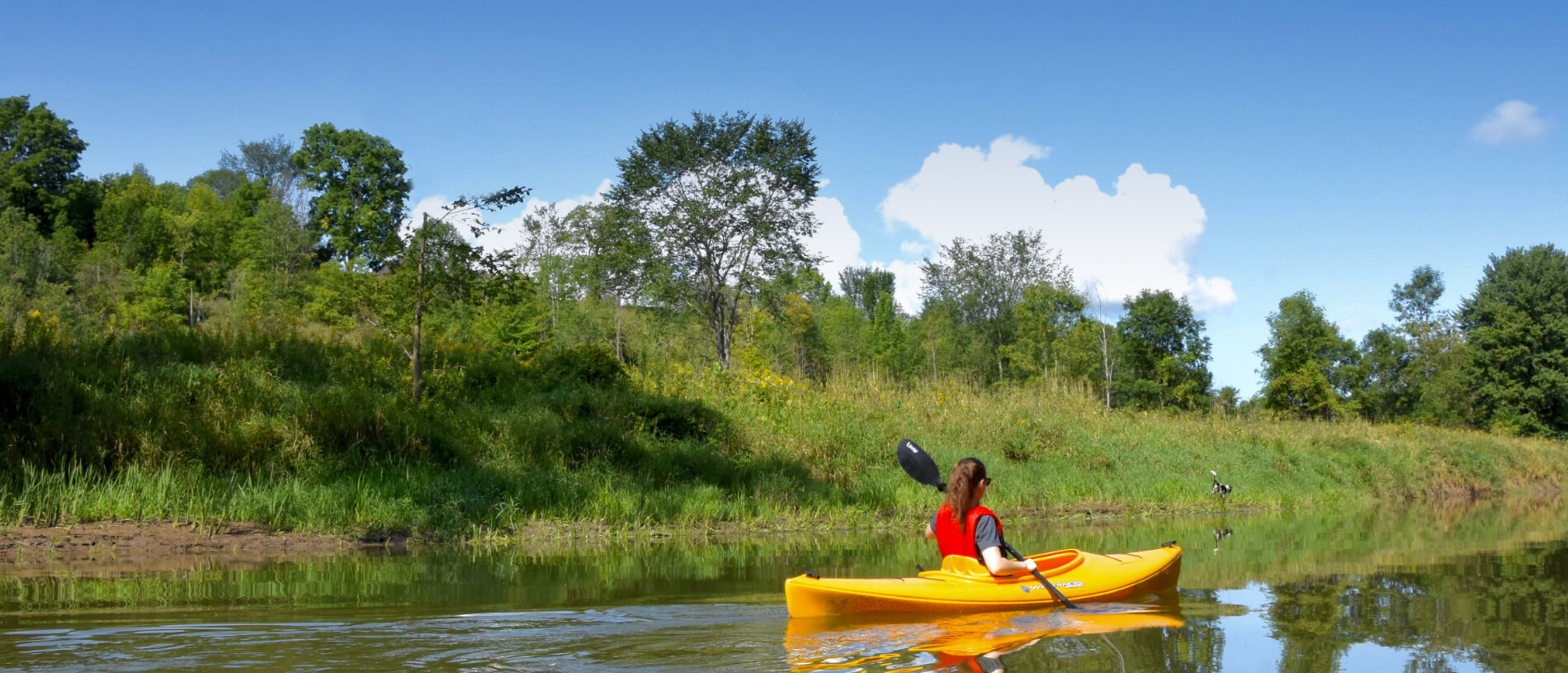 a person kayaking down a river 